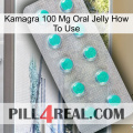 Kamagra 100 Mg Oral Jelly How To Use 28